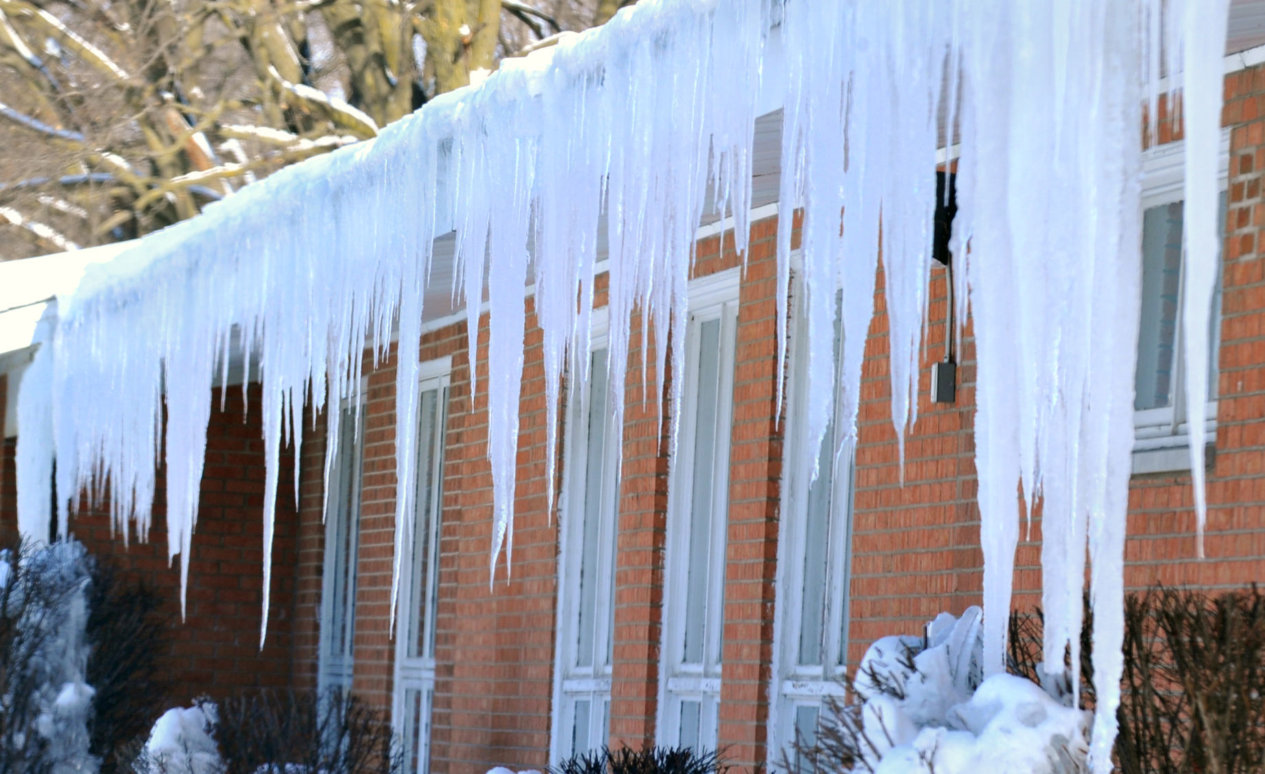 Chilling cold weather bring out icicles